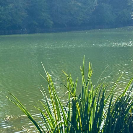 Herry Lac De Lumiere. Relax With Rural Lakeside Living מראה חיצוני תמונה