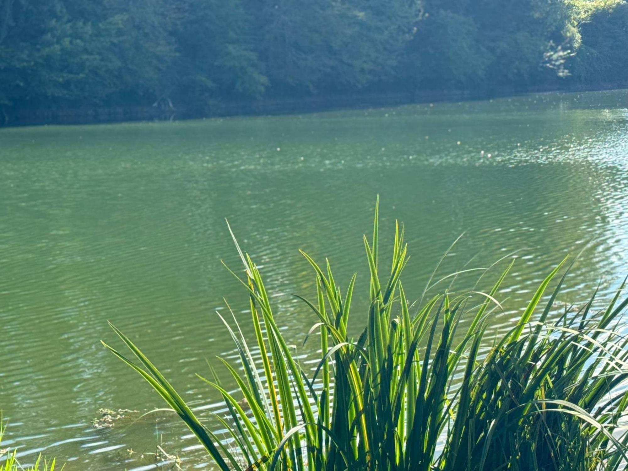 Herry Lac De Lumiere. Relax With Rural Lakeside Living מראה חיצוני תמונה